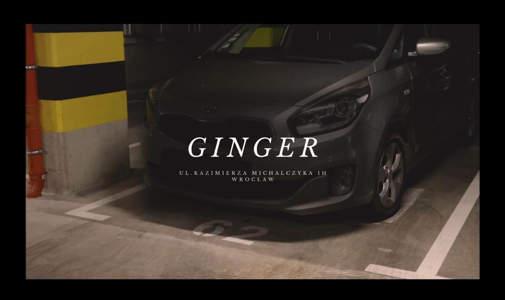 Apartament Ginger - Stare Miasto - Bezplatny Parking - Youtube Apartament Ginger We Wroclawiu 외부 사진